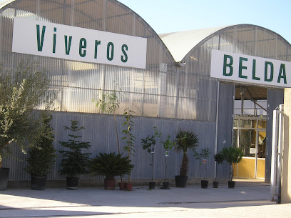 Imagen de FRANCISCO BELDA CALABUIG (VIVEROS BELDA) situado en Mogente/Moixent, Valencia