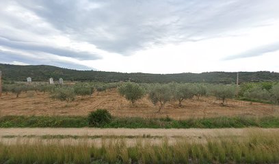 Imagen de Fernando Sales Sales situado en Coves de Vinromà, Castellón