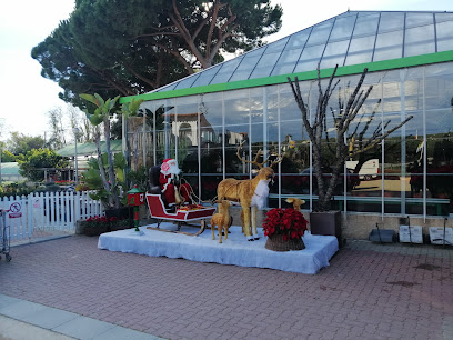 Imagen de Flora Ferran | Centro de Jardinería y Artes Florales | Garden Center situado en Sant Andreu de Llavaneres, Barcelona