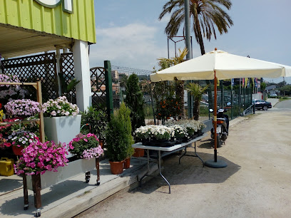 Imagen de Floradecor Garden situado en Pineda de Mar, Barcelona