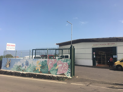 Imagen de Flores y Plantas Jocama situado en Valle Guerra, Santa Cruz de Tenerife