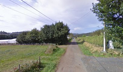 Imagen de Florgalicia situado en San Sadurniño, A Coruña