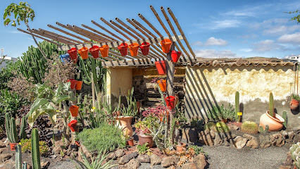 Imagen de Flower Power Jardines situado en Macher, Las Palmas