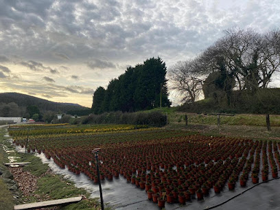 Imagen de Fomento Vegetal Sl situado en Riofelle, Asturias