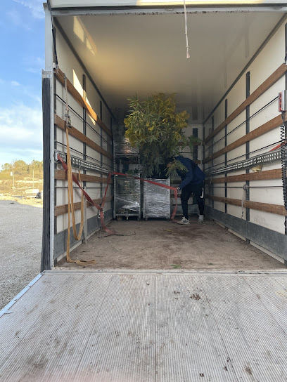 Imagen de Garden Amorós situado en Elche, Alicante