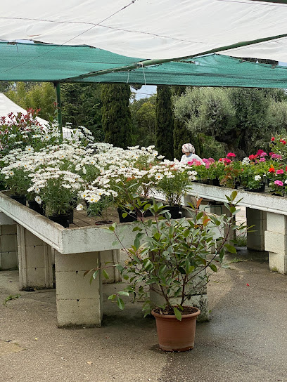 Imagen de Garden Bonaire situado en Terrassa, Barcelona