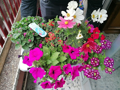 Imagen de Garden Cabañas La Almunia Flores y Plantas situado en La Almunia de Doña Godina, Zaragoza