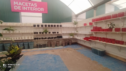 Imagen de Garden Center Fuerteventura situado en Puerto del Rosario, Las Palmas