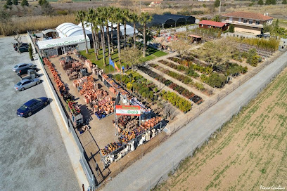 Imagen de Garden Center Gaià situado en Altafulla, Tarragona