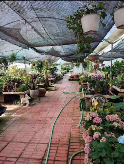 Imagen de Garden Center Ses Alameras situado en Sant Antoni de Portmany, Balearic Islands