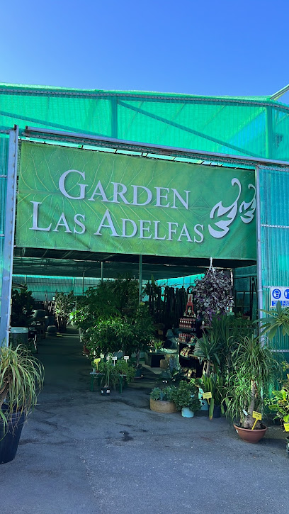 Imagen de Garden Las Adelfas situado en Guía de Isora, Santa Cruz de Tenerife