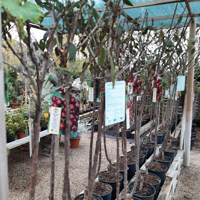 Imagen de Garden Palautordera S.L. situado en Santa Maria de Palautordera, Barcelona