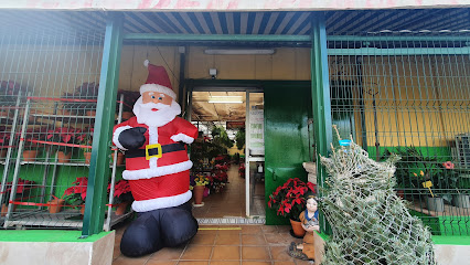 Imagen de Garden Planta Viva situado en La Laguna, Santa Cruz de Tenerife