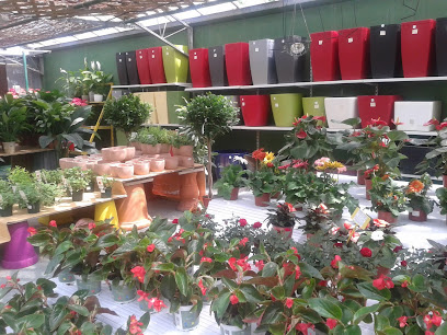 Imagen de Garden Tarazona situado en Torrent, Valencia