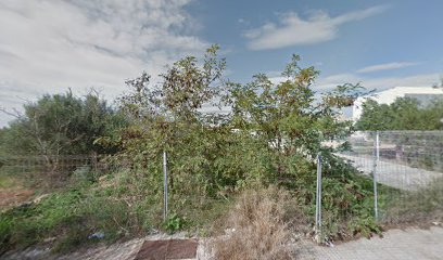 Imagen de Gartenbau auf Mallorca situado en Llucmajor, Balearic Islands