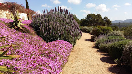 Imagen de Green World Ibiza situado en San Juan Bautista, Balearic Islands