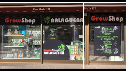 Imagen de Growshop Balaguera situado en Bossòst, Lleida