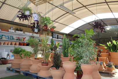 Imagen de HORTICOLA BALEAR EL VIVERO Centro de Jardinería situado en Menorca, Balearic Islands