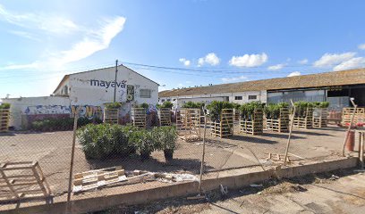 Imagen de HORTICULTURA ALBERT S.L.U. situado en Valencia, Valencia