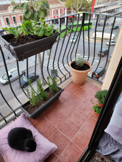 Imagen de Hedra Garden situado en Xàtiva, Valencia