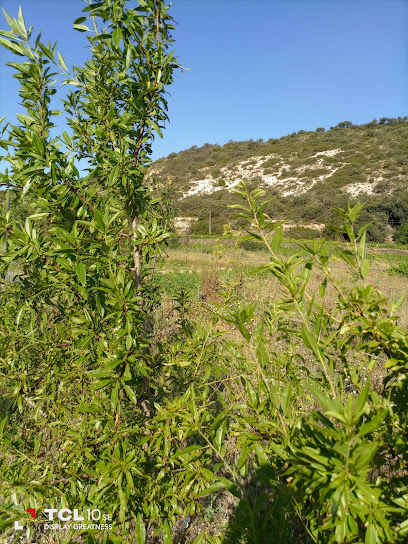 Imagen de Hortiaroma Bio Viveros situado en Olmeda de las Fuentes, Madrid