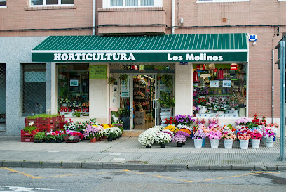 Imagen de Horticultura Los Molinos Tienda situado en Grado, Asturias