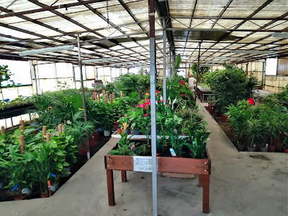 Imagen de Horticultura Ventosa de Pisuerga Viveros situado en Pozuelo de Alarcón, Madrid