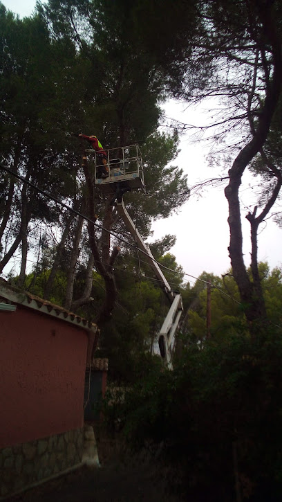 Imagen de Ilex situado en Beniarbeig, Alicante