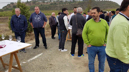 Imagen de Iratze Lorazaintza Sl situado en Anoeta, Gipuzkoa