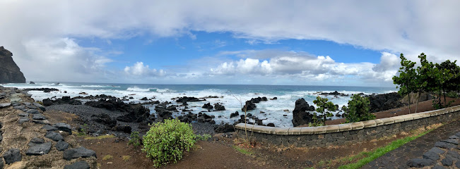 Imagen de Islaplant S.L. situado en Buenavista Del Norte, Santa Cruz de Tenerife