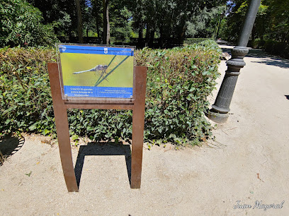 Imagen de Islas de biodiversidad para el fomento de polinizadores. situado en Madrid, Madrid