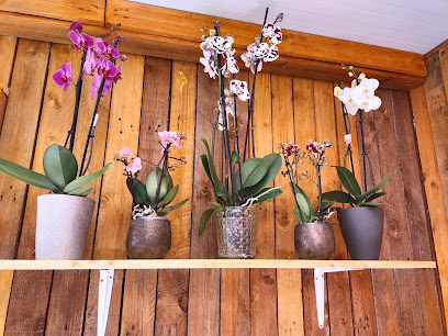 Imagen de JARDINERIA VIDA VERDA situado en Artés, Barcelona