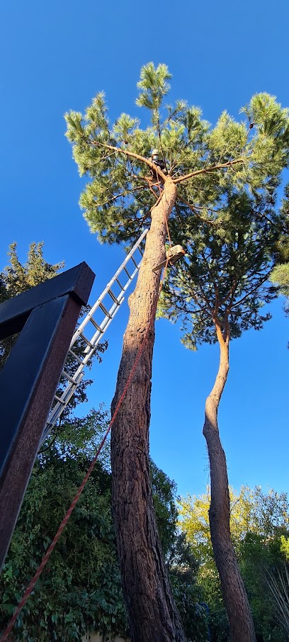 Imagen de Jardiflora situado en Torrelodones, Madrid