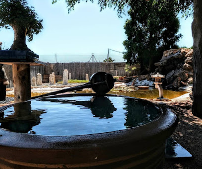 Imagen de Jardin Moyogi Bonsai situado en Villarreal, Castellón