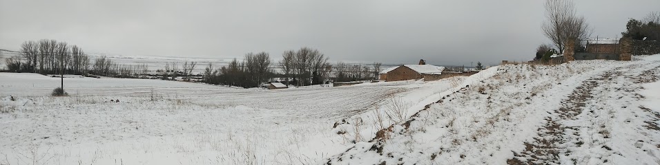 Imagen de Jardinería Alcaraván. Raúl Ruiz situado en Pedraza, Soria