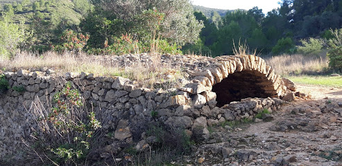 Imagen de Jardinería Benidorm situado en Callosa d´en Sarrià, Alicante