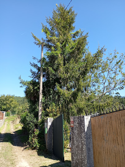 Imagen de Jardineria Cidras situado en Priegue, Pontevedra