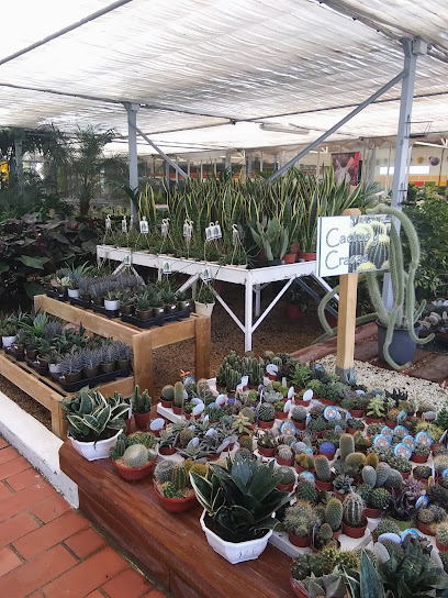 Imagen de Jardineria Dalmau situado en Vinaròs, Castellón