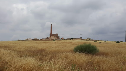 Imagen de Jardinería De Extremadura situado en Cáceres, Cáceres