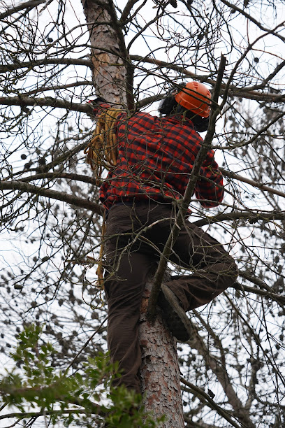 Imagen de Jardineria Eco agro-forestal situado en Marganell, Barcelona