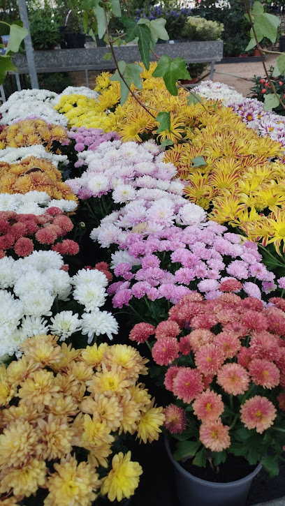 Imagen de Jardinería El Roure S.L. situado en nan, Barcelona