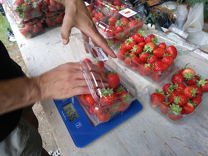 Imagen de Jardinería Galizano situado en Galizano, Cantabria