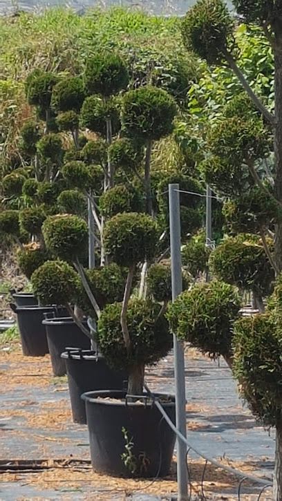 Imagen de Jardineria Germans Chia situado en Puigcerdà, Girona