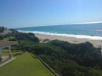 Imagen de Jardinería Ginés situado en Roche, Cádiz