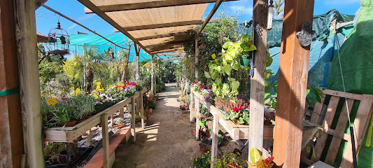 Imagen de Jardinería La Alcayna - Garden Center situado en nan, Murcia