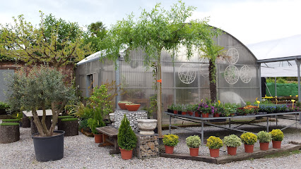 Imagen de Jardineria Nogué situado en Sant Hipòlit de Voltregà, Barcelona