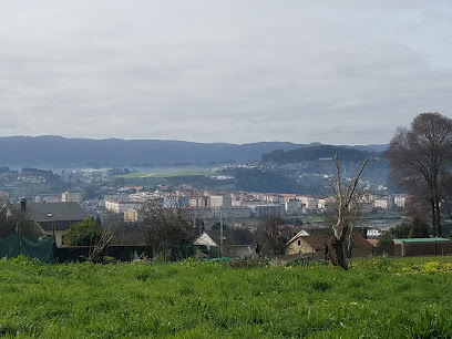 Imagen de Jardinería Núñez situado en Choupana, A Coruña