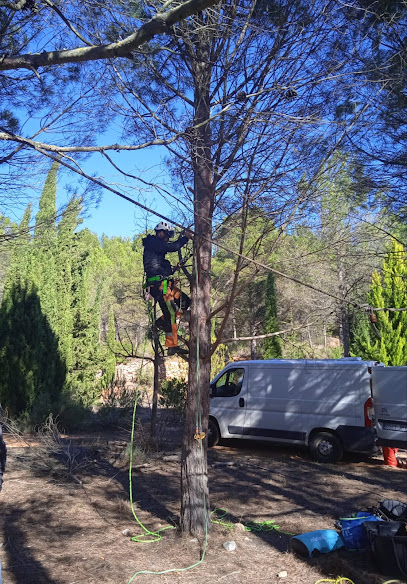 Imagen de Jardinería Pacheco S.L. situado en Fuenlabrada, Madrid