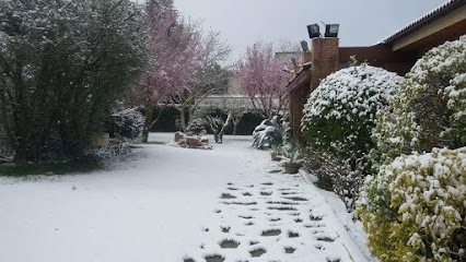 Imagen de Jardinería Pedro Bautista situado en Ávila, Ávila