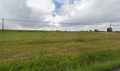 Imagen de Jardinería Picasso situado en nan, Asturias